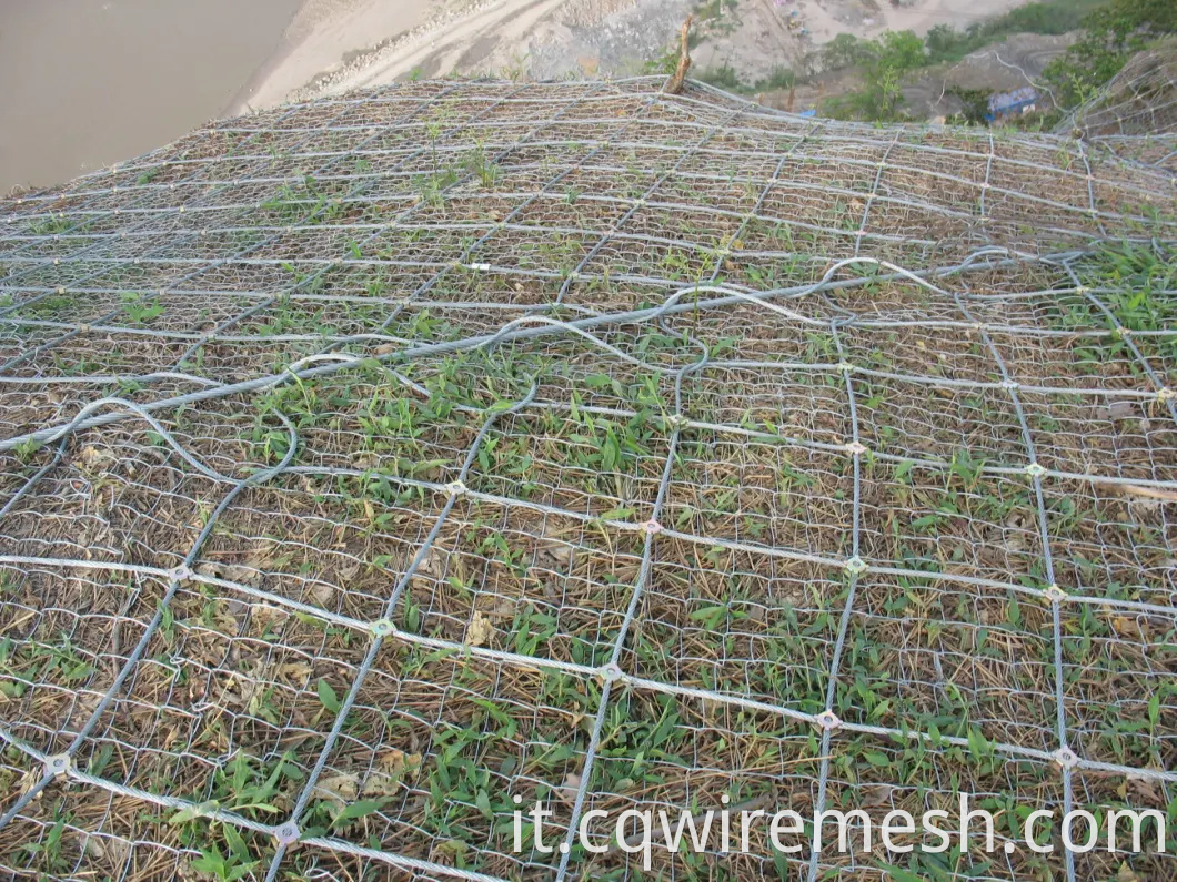 Fence a catena rivestita in PVC zincato a caldo usato di alta qualità